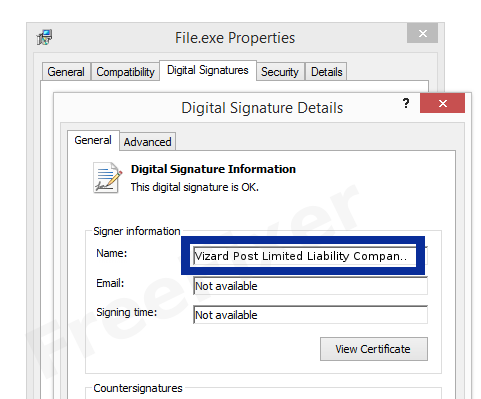 Screenshot of the Vizard Post Limited Liability Company certificate